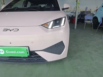 BYD Seagull
