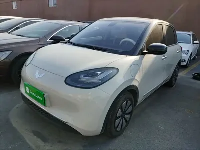 Wuling Bingo