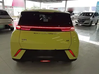 BYD Seagull