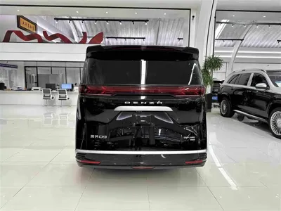 Denza Denza D9