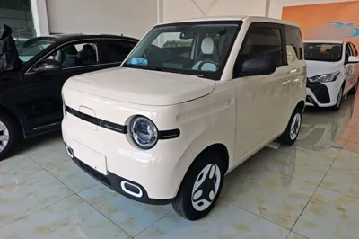 Geely Galaxy Panda