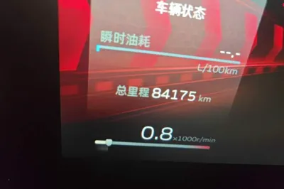 Geely Auto Binray
