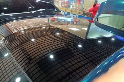 Xpeng P7