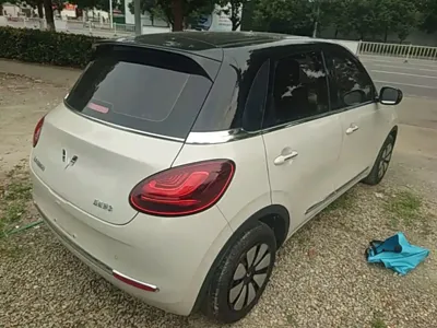Wuling Bingo