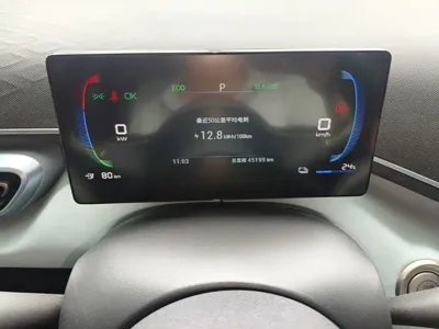 BYD Seagull