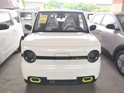 Galaxy Panda