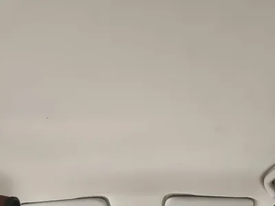 NETA Neta V