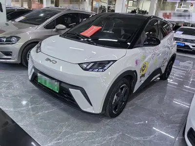 BYD Seagull