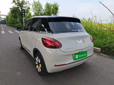 Wuling Bingo