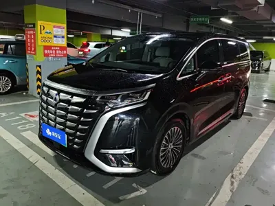 Denza Denza D9