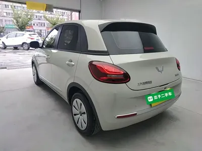 Wuling Bingo