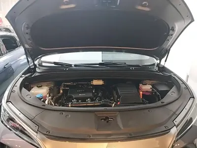 BYD L DM-i