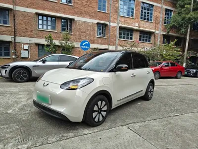 Wuling Bingo