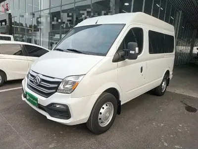 Maxus V80