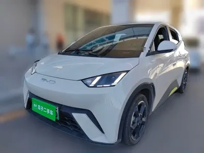 BYD Seagull