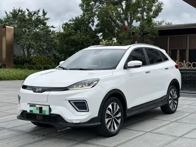 WM Motor EX5