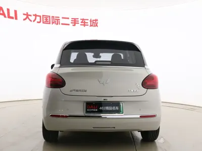 Wuling Bingo