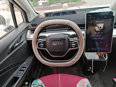 NETA Neta V