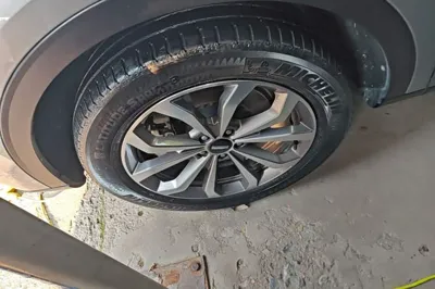 WEY VV6