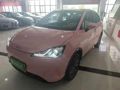 NETA Neta V