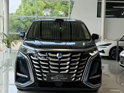 Denza Denza D9