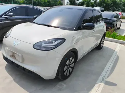 Wuling Bingo