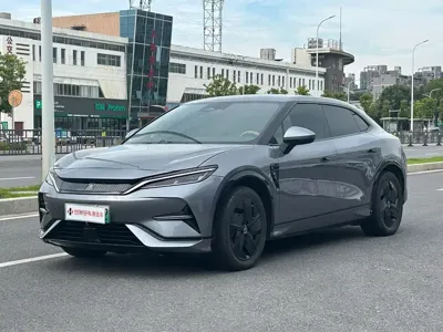BYD L EV