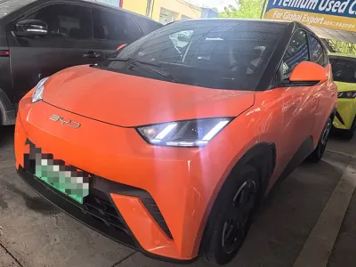 BYD Seagull