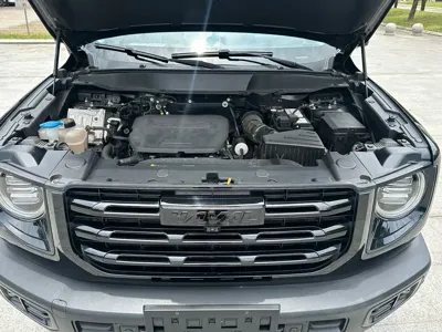 Haval Big Dog