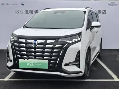 Denza Denza D9