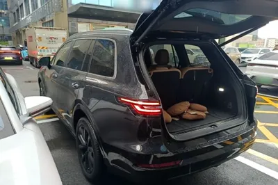 Li Auto ONE