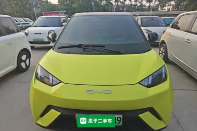 BYD Seagull
