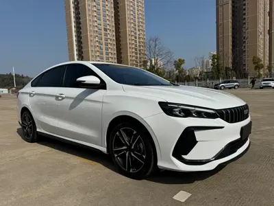 Geely Binrui