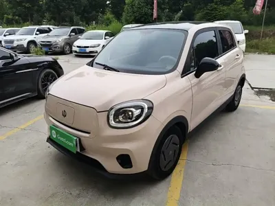 Leapmotor Leapmotor T03