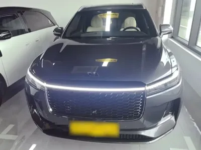 Li Auto Li ONE