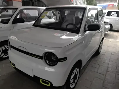 Galaxy Panda