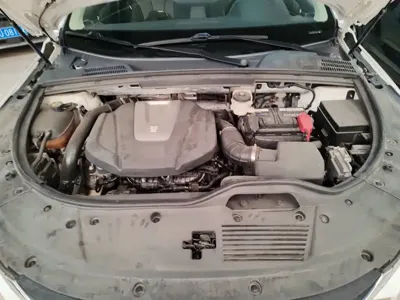 BYD Tang