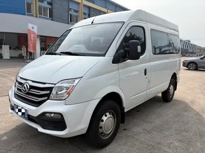 Maxus V80