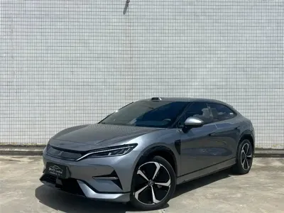 BYD L EV