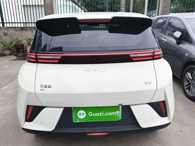 BYD Seagull