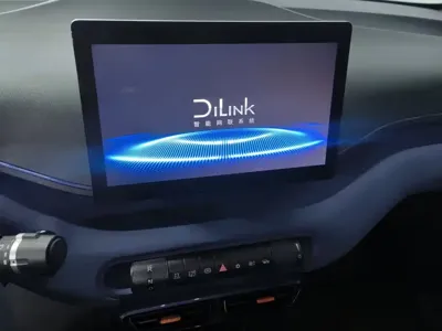 BYD Seagull