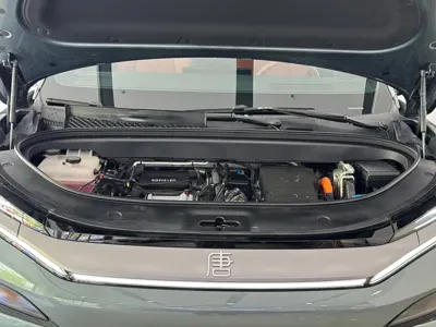 BYD Tang L