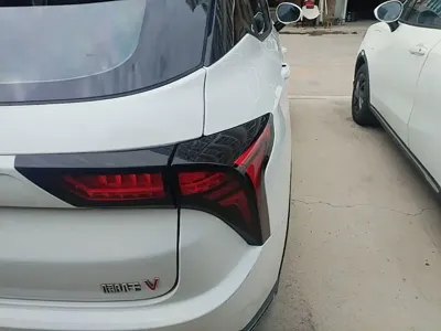NETA Neta V