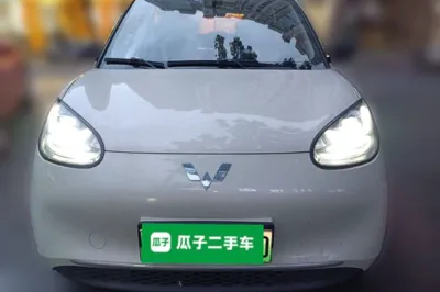 Wuling Bingo
