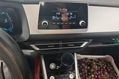 BYD e1