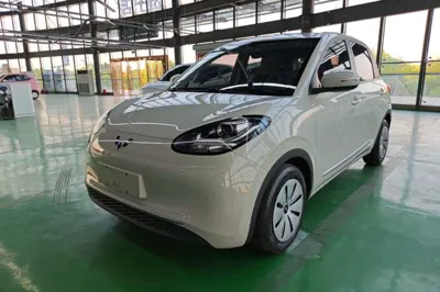 Wuling Bingo