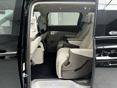 Denza Denza D9