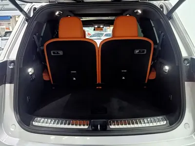 Li Auto Li L9