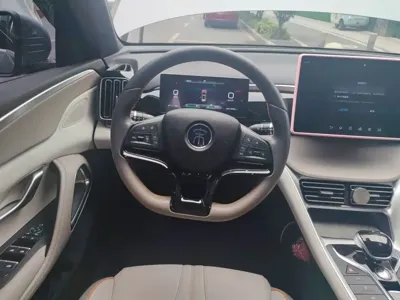 BYD Pro New Energy