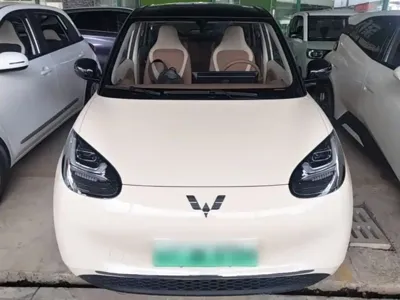 Wuling Bingo